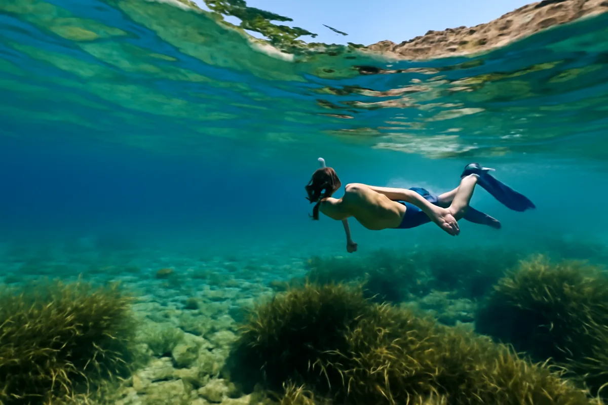 Dove fare snorkeling nel Cilento: i fondali che premiamo chi si allontana dalla riva